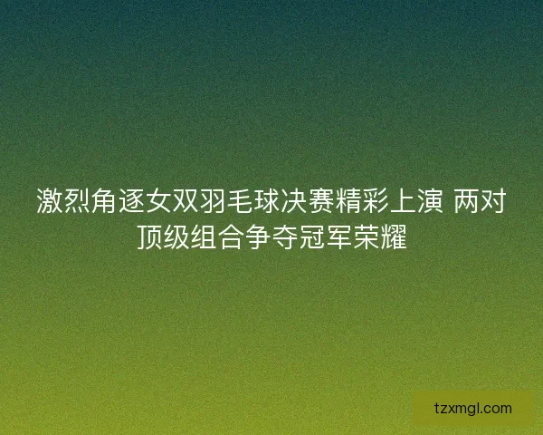 激烈角逐女双羽毛球决赛精彩上演 两对顶级组合争夺冠军荣耀
